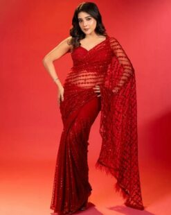 Women Embellished Net Saree