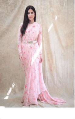Katrina Kaif Wear Pink Colour Festival Wear Saree